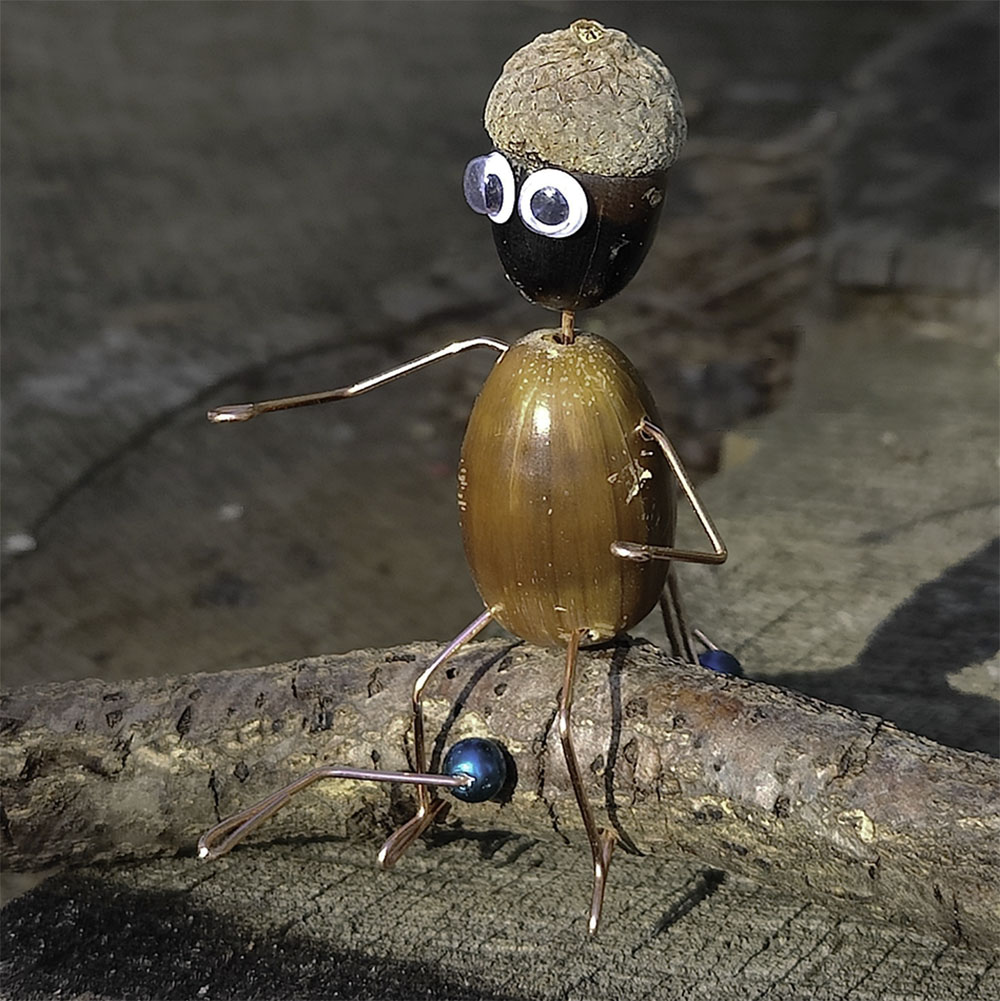 Acorn Character
