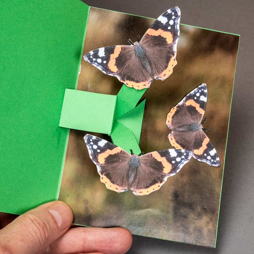 Butterfly Card